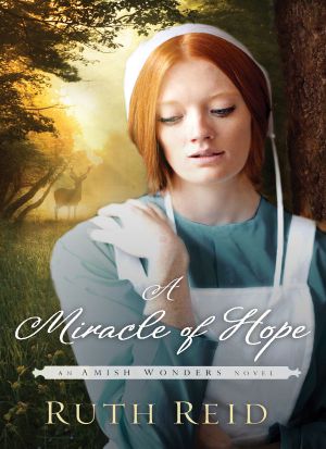 [The Amish Wonders 01] • A Miracle of Hope